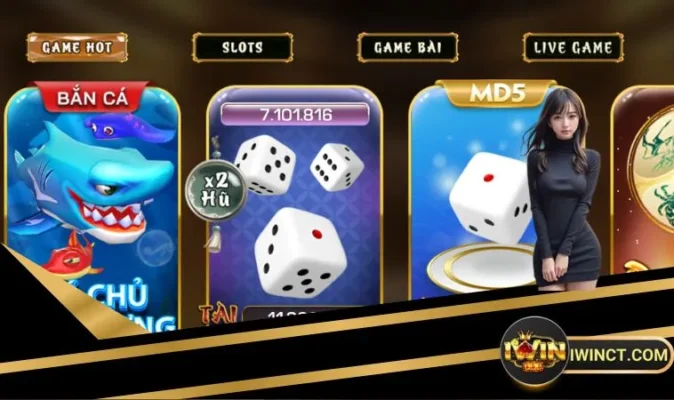 Nên chơi Tài Xỉu MD5 hay Tài Xỉu Live tùy thuộc vào lựa chọn của cược thủ